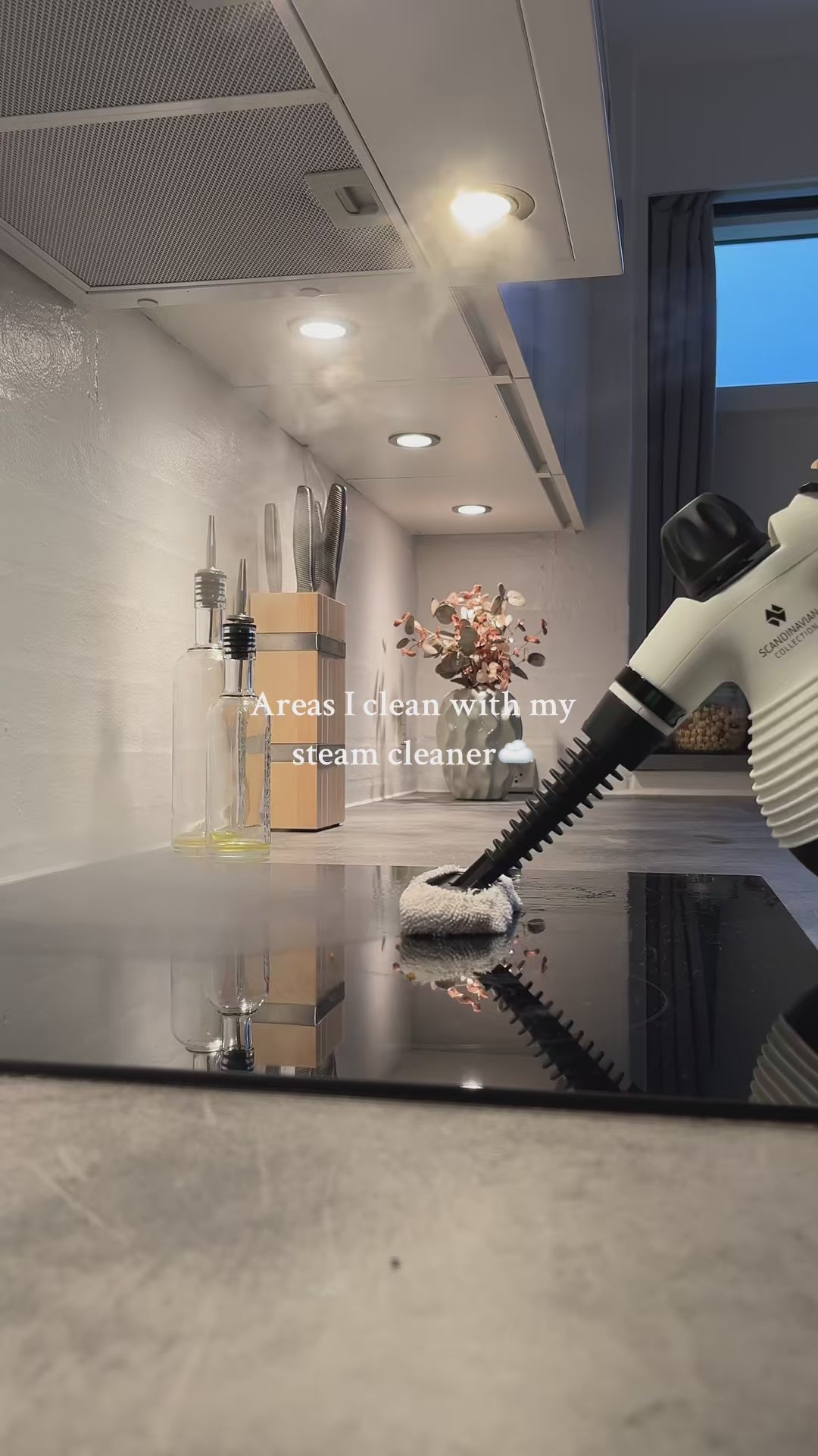 Tobi - Steam Cleaner (TB958) Ⓢ