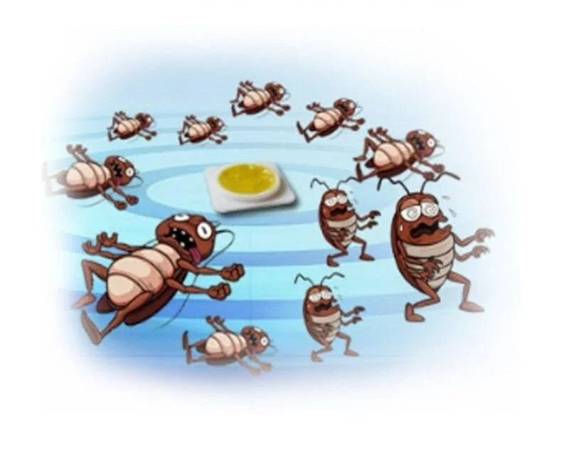 Cockroach Killer Bait Pods (free shipping)